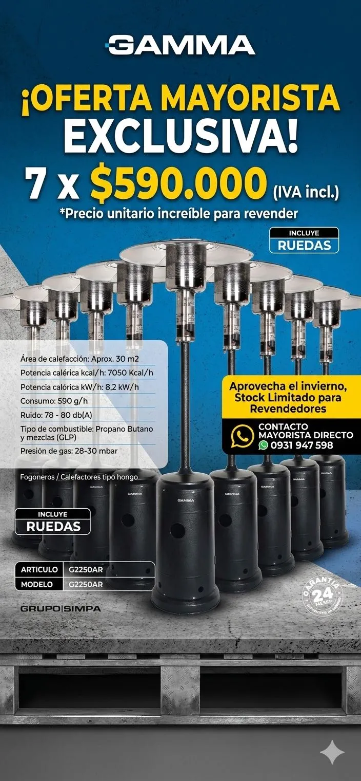 🔥 ¡OPORTUNIDAD MAYORISTA - TEMPORADA INVIERNO 2026! 🔥