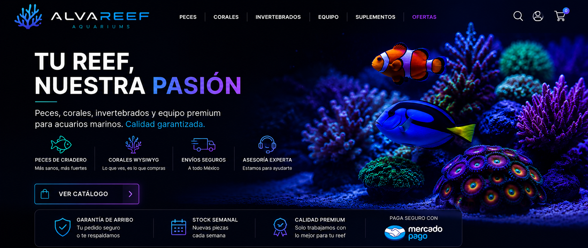 slider-img